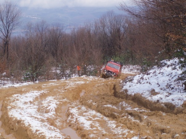 P3150031 (600 x 450).jpg