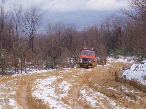P3150032 (600 x 450).jpg