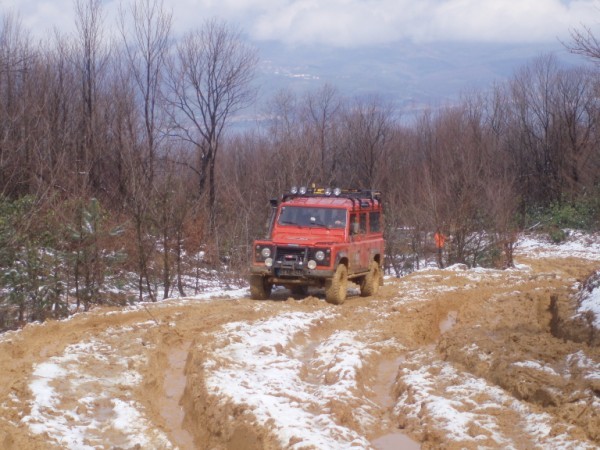 P3150033 (600 x 450).jpg