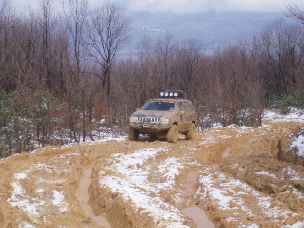 P3150035 (600 x 450).jpg