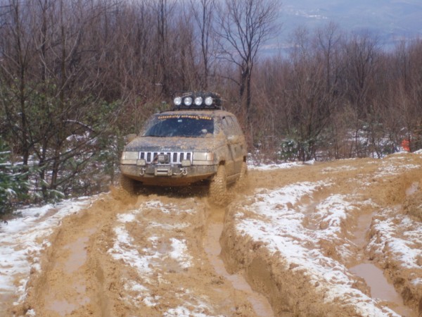 P3150036 (600 x 450).jpg