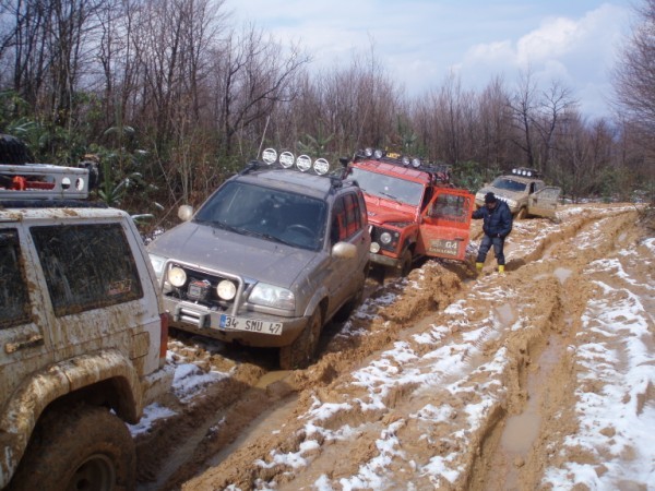 P3150039 (600 x 450).jpg