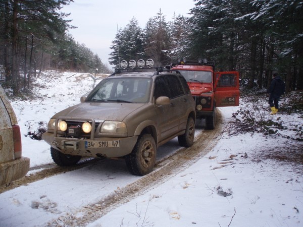 P3150040 (600 x 450).jpg