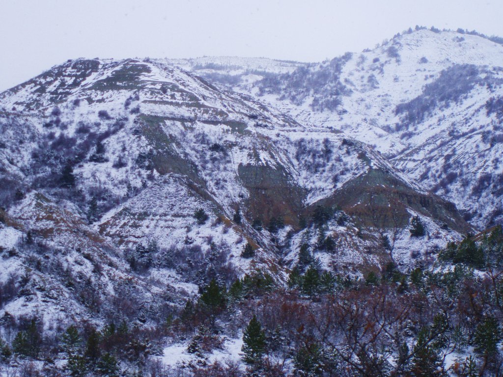 P3170084.JPG