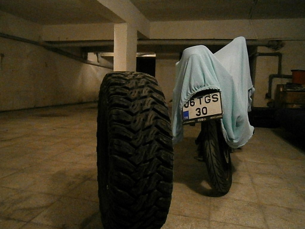 P3190052.JPG