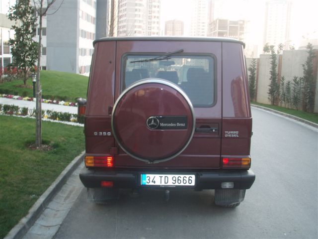 P3230004.jpg