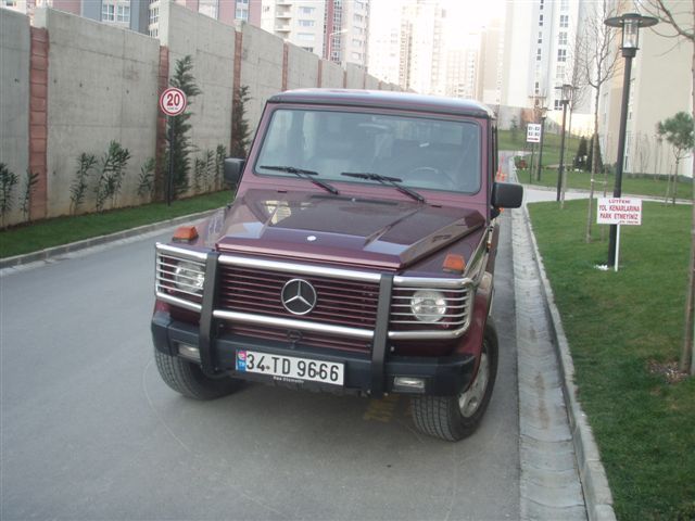 P3230006.jpg