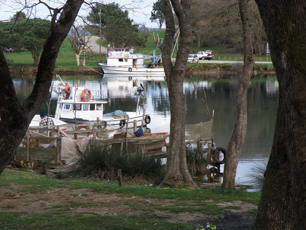 P3290058 (2).JPG