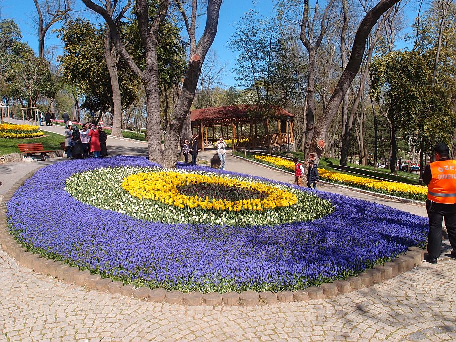 P3309068.jpg