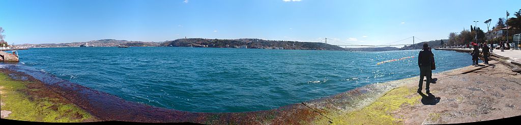 P3309085_stitch.jpg