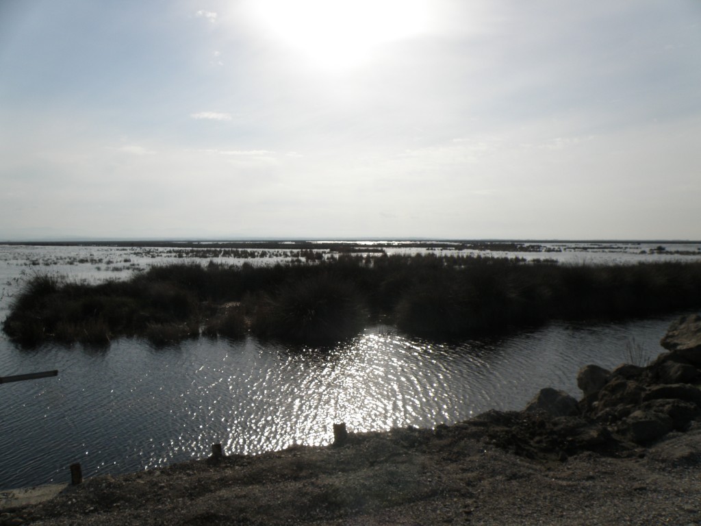 P3310097 (2).JPG