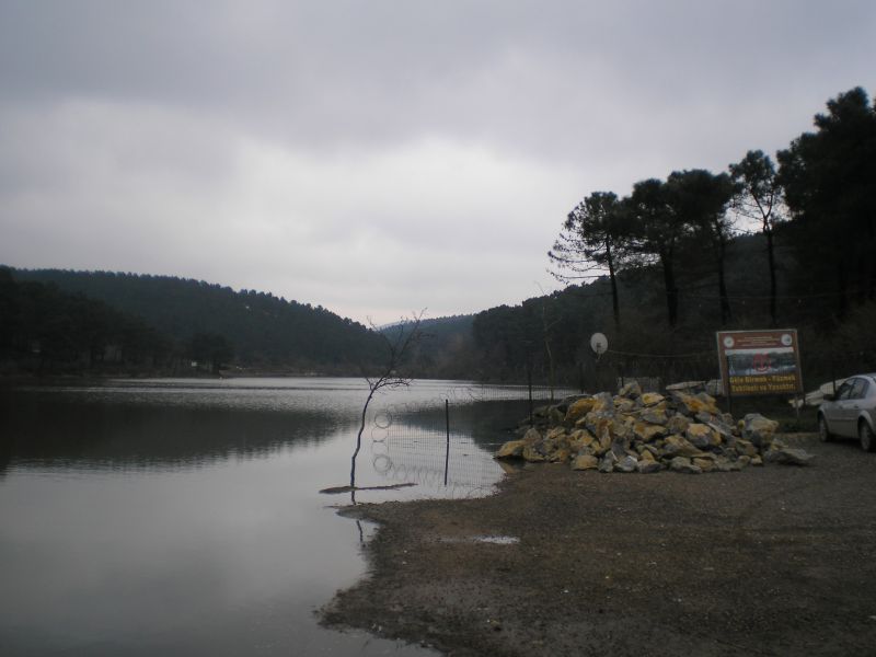 P4030516.jpg