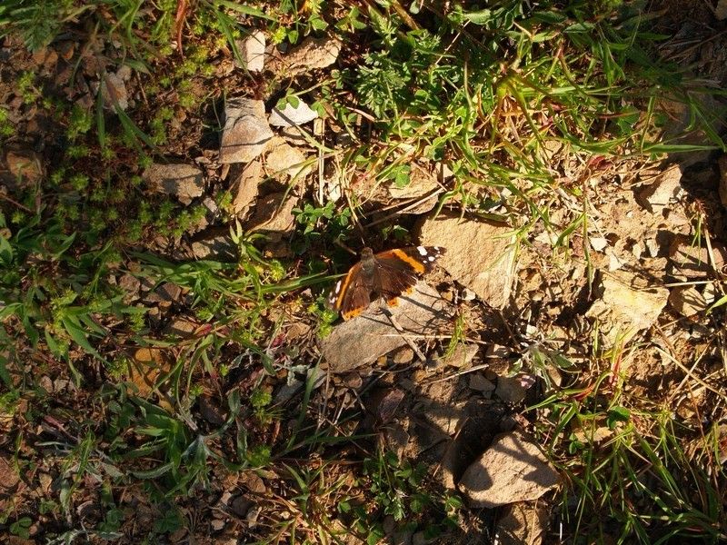 P4046729.jpg