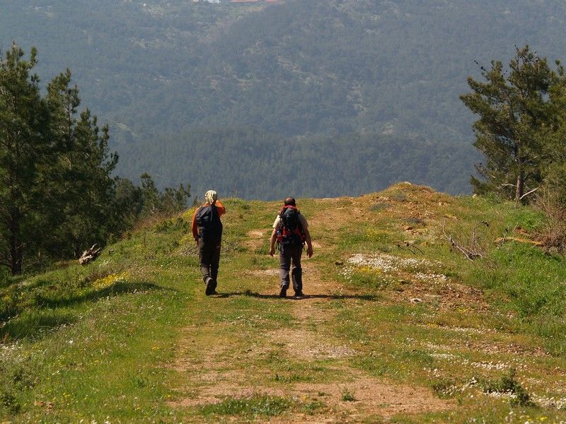 P4046744.jpg