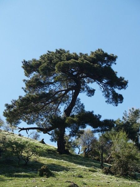 P4046796.jpg