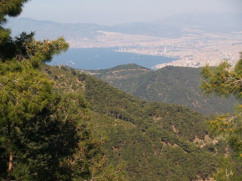 P4046816.jpg