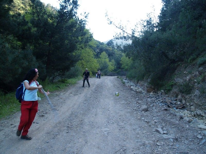 P4046853.jpg