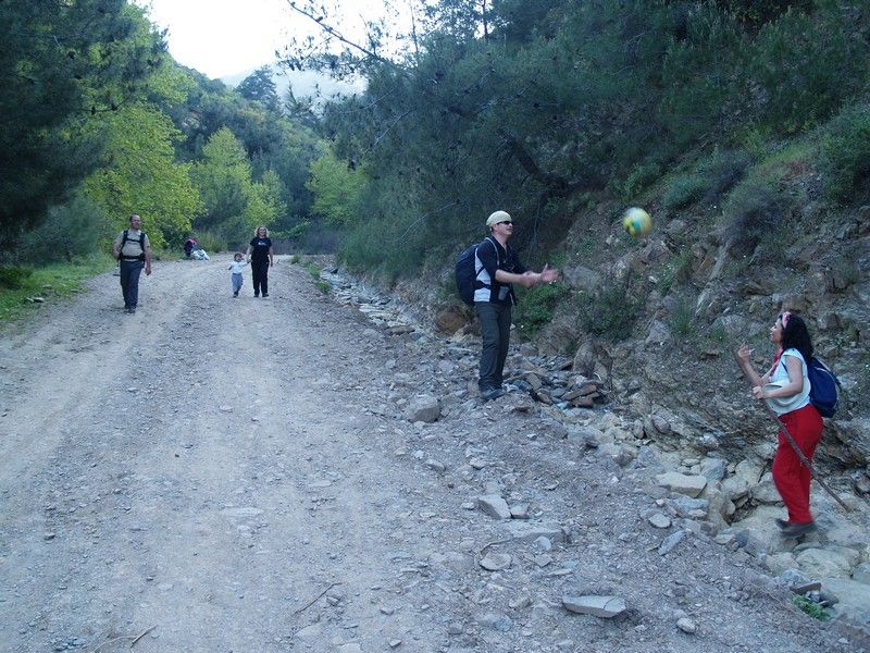 P4046854.jpg