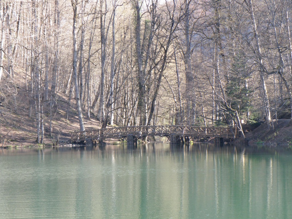 P4050114.JPG