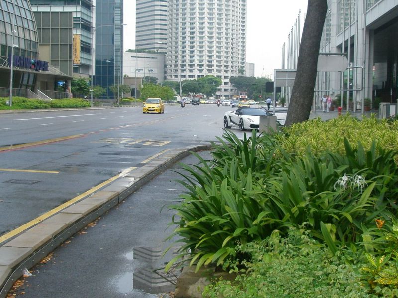 P4130323.jpg
