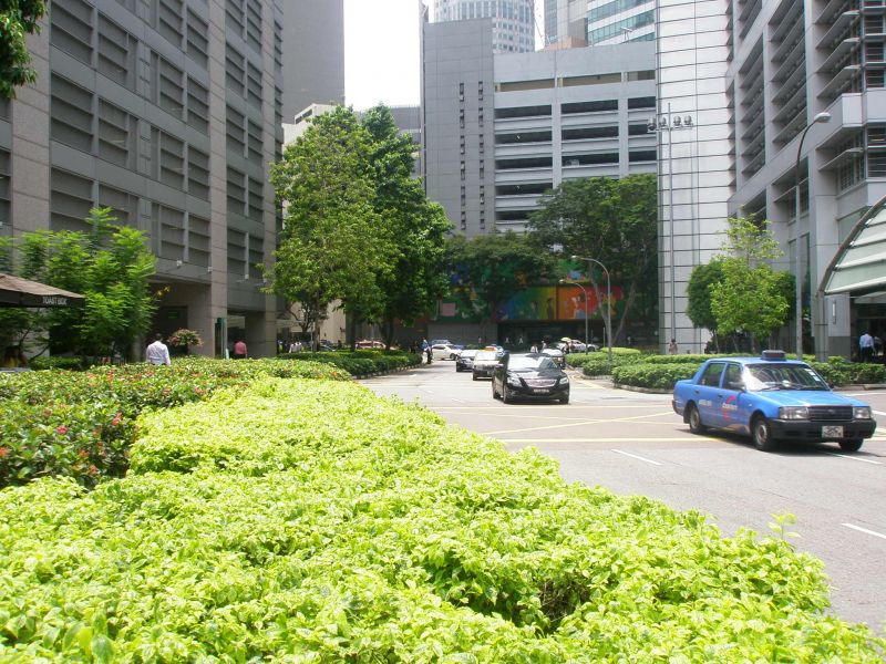 P4130334.jpg