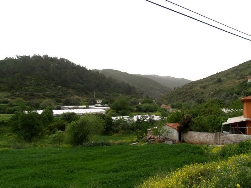 P4136234-2.jpg