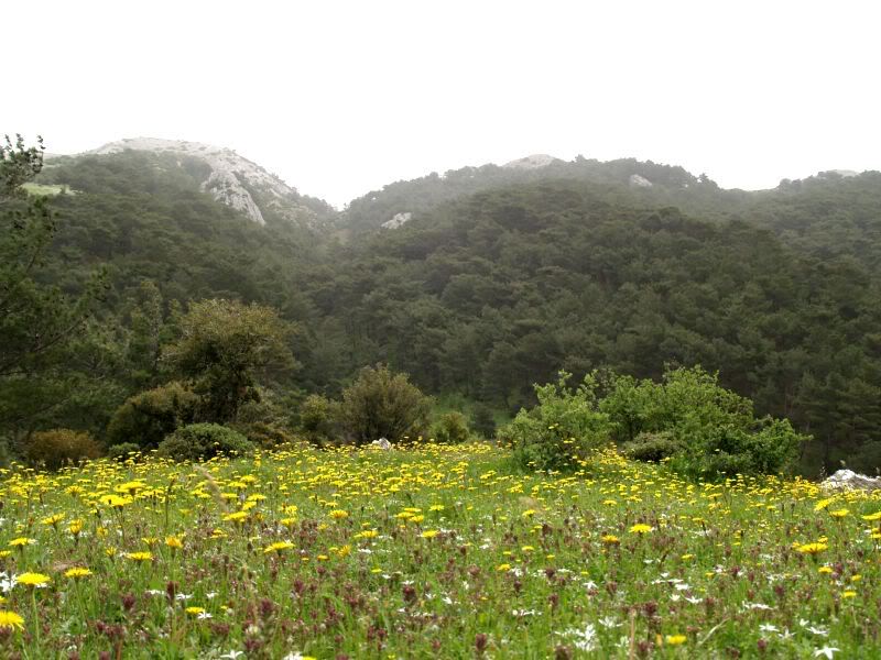 P4136265.jpg