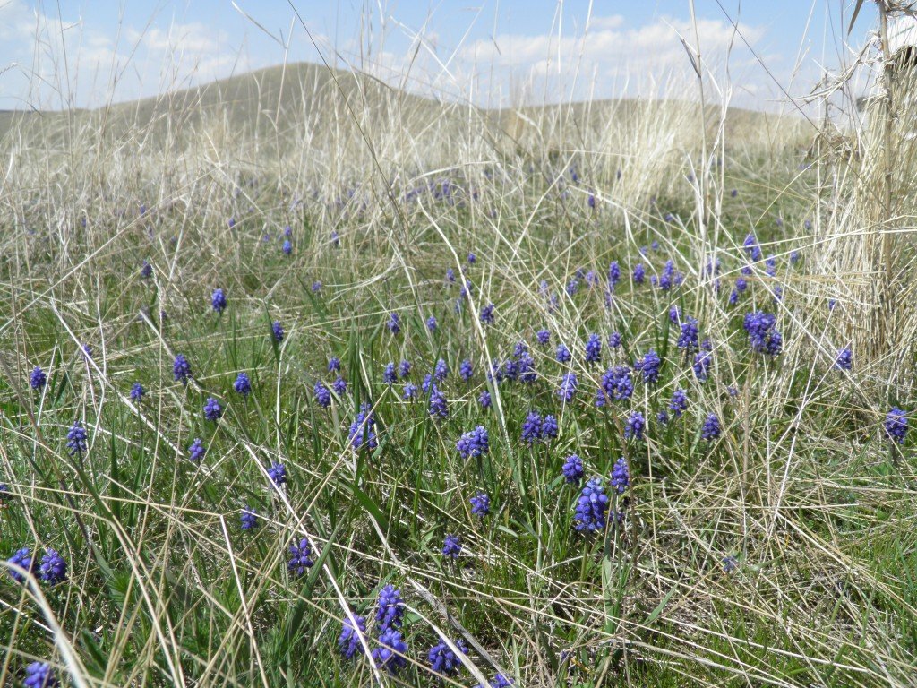 P4243421.JPG