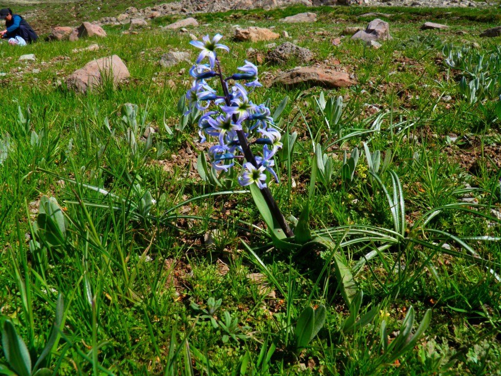 P4243425.JPG