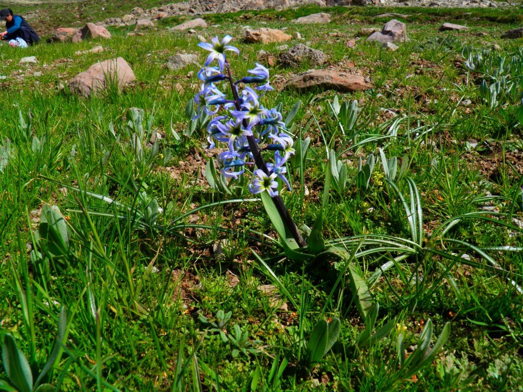 P4243425.jpg
