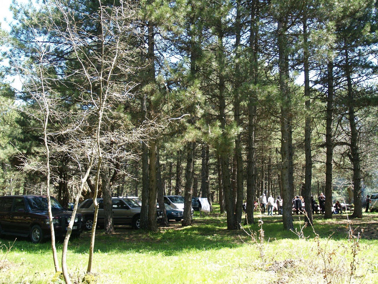 P4247327.jpg