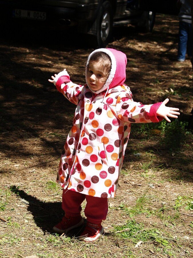 P4247341.JPG