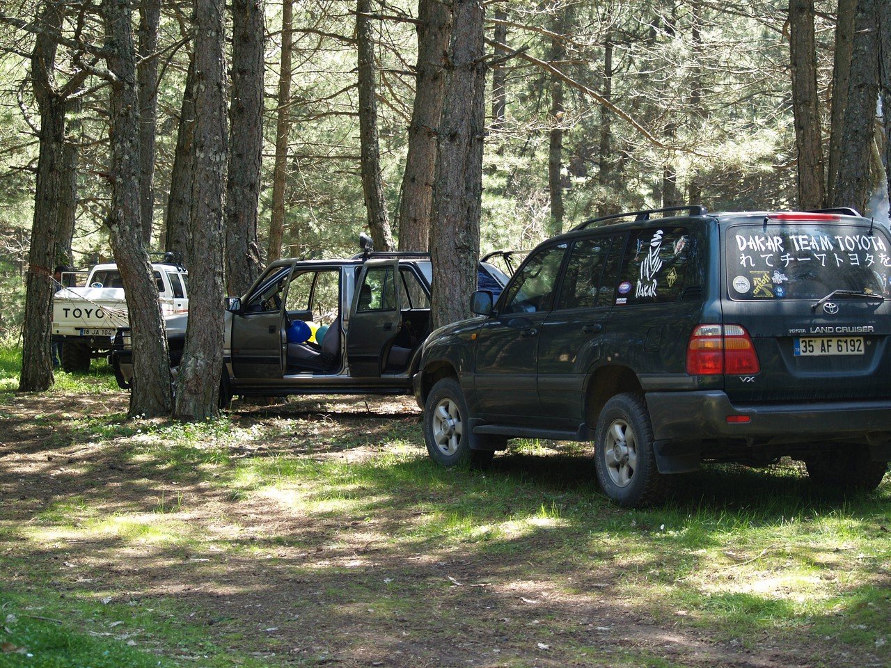 P4247344.jpg