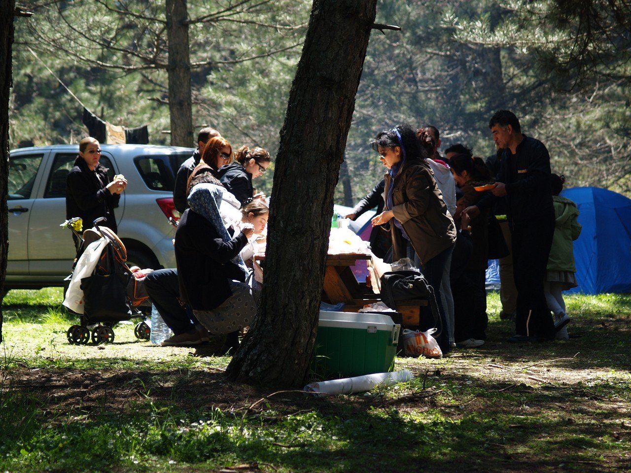 P4247345.jpg