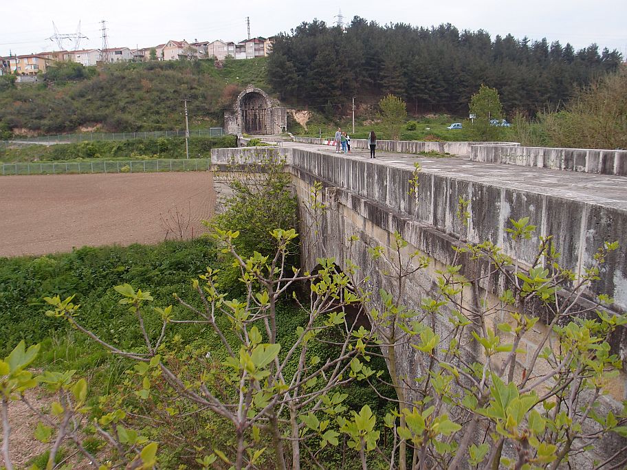 P4262947.jpg