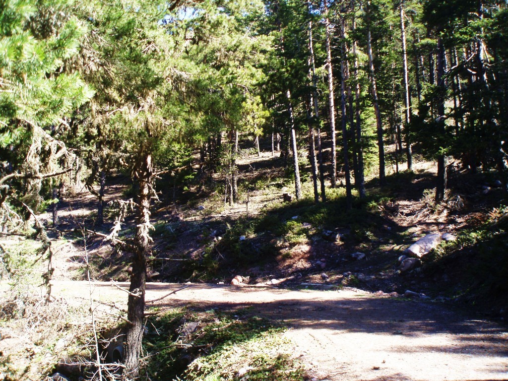 P4280043.JPG