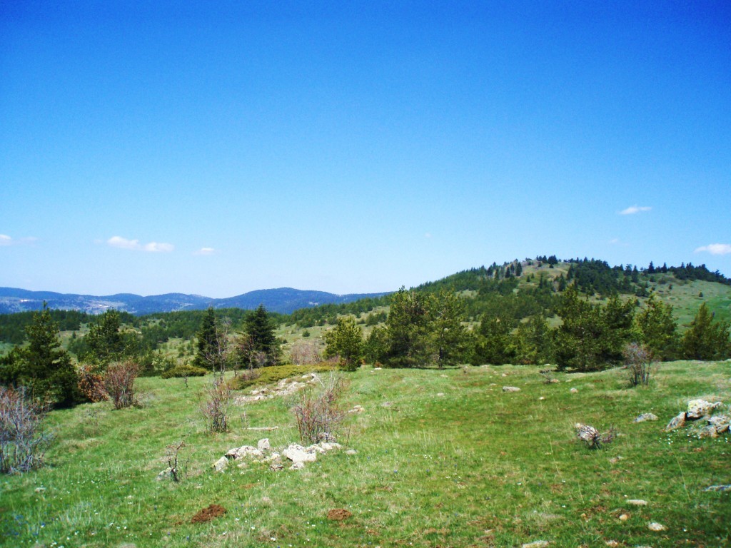 P4280056.JPG