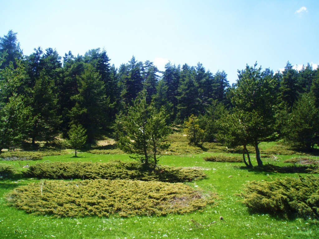 P4280134.JPG