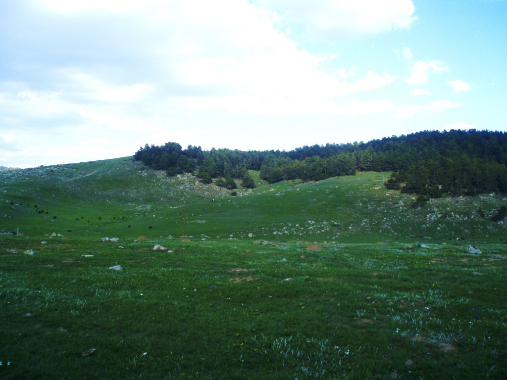 P4280215.JPG