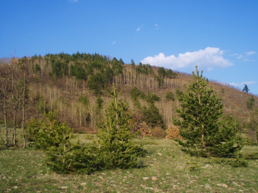 P4280234.JPG