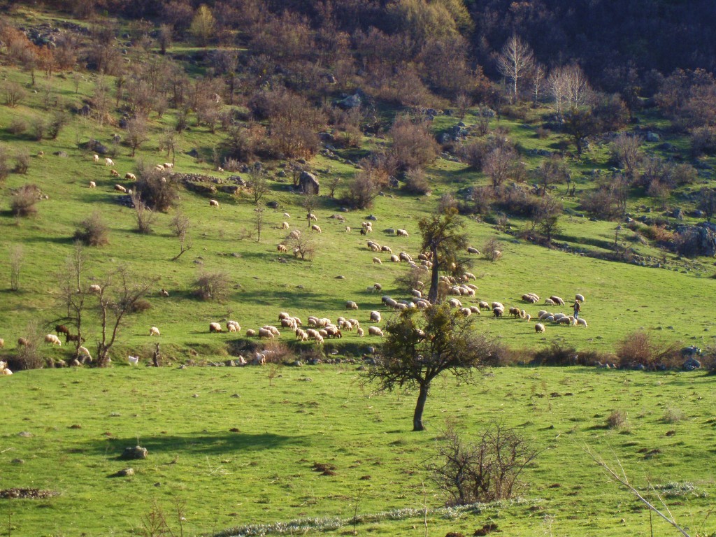 P4280242.JPG
