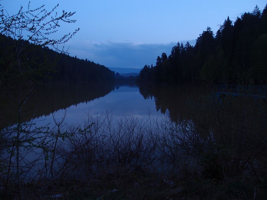P4285167.jpg