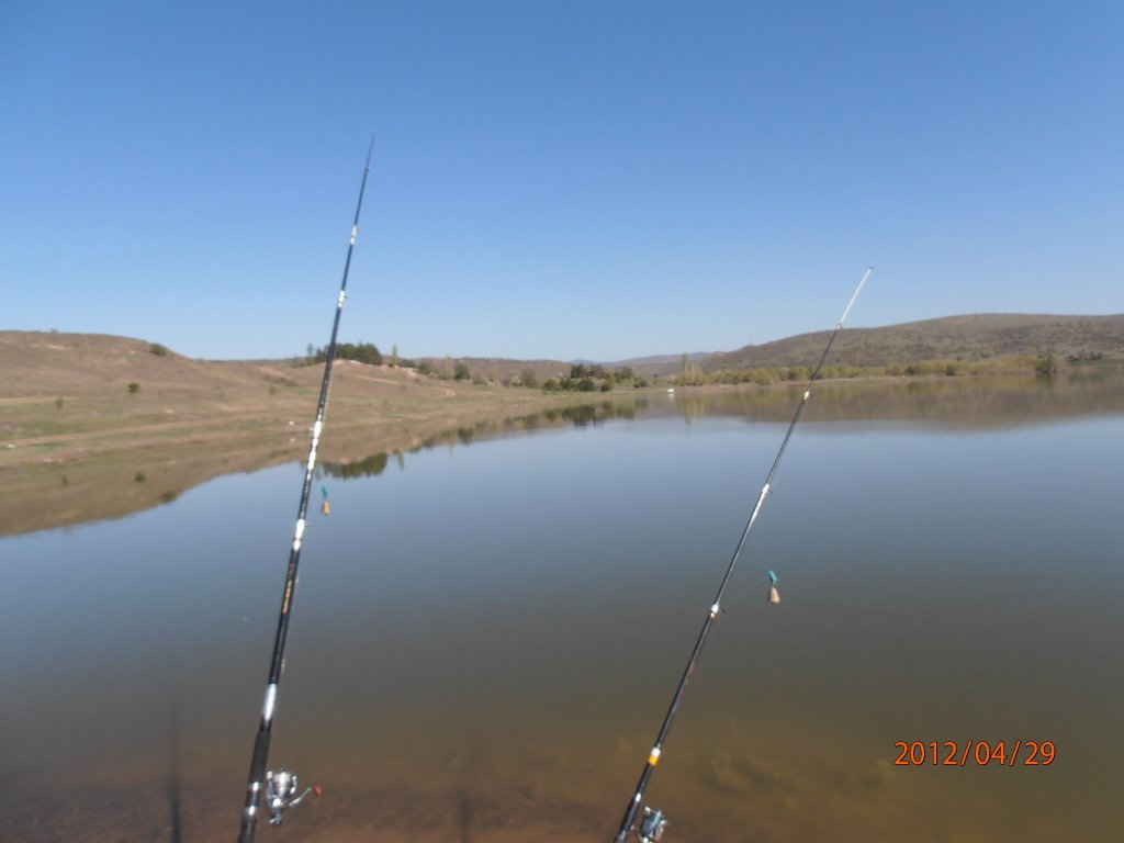 P4290018.JPG
