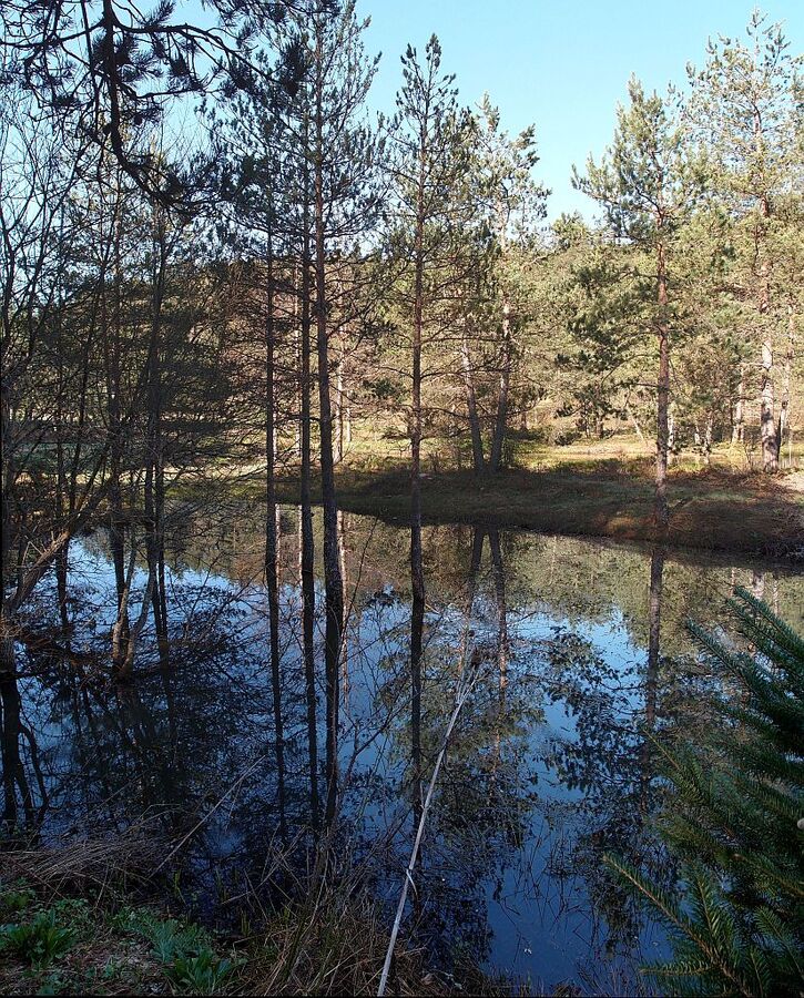 P4295228_stitch.jpg