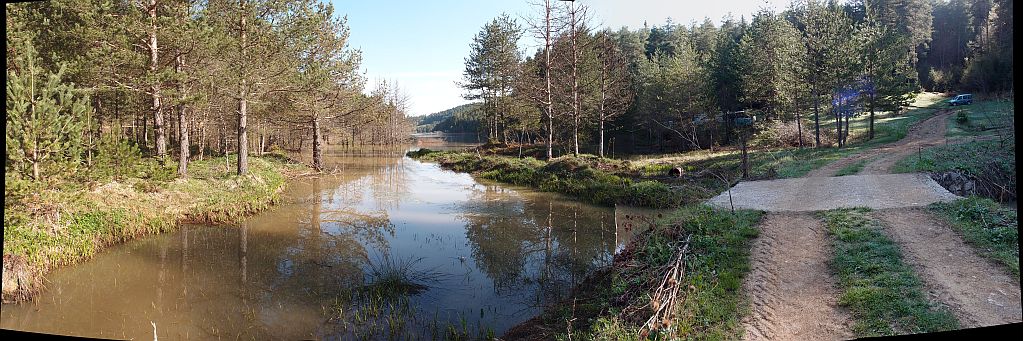 P4295236_stitch.jpg