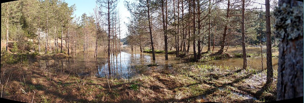 P4295243_stitch.jpg