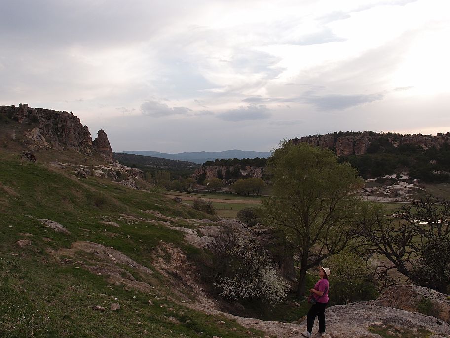 P4295467.jpg