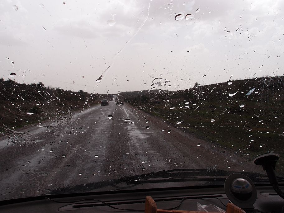 P4305712.jpg