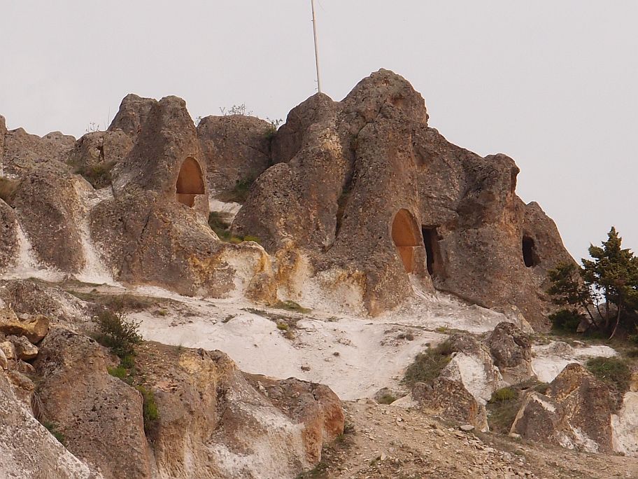P4305784.jpg