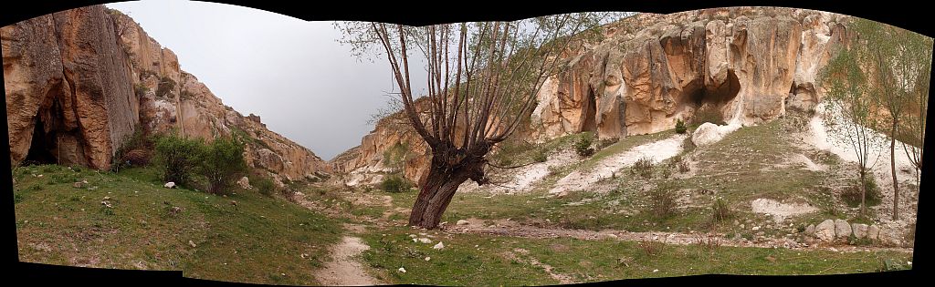 P4305792_stitch.jpg